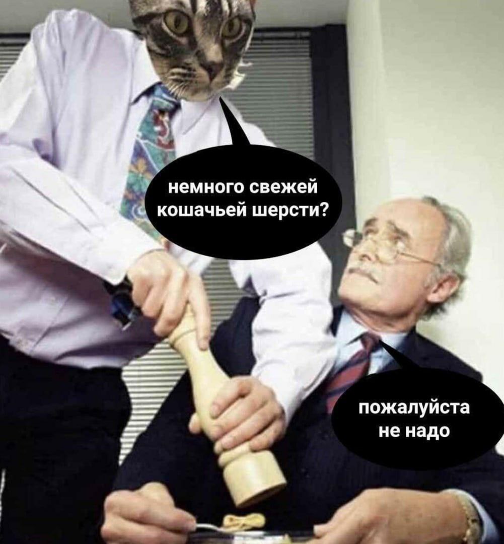 немного свежей кошачьей шерсти? пожалуйста не надо