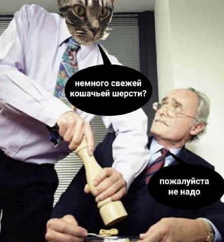 немного свежей кошачьей шерсти? пожалуйста не надо