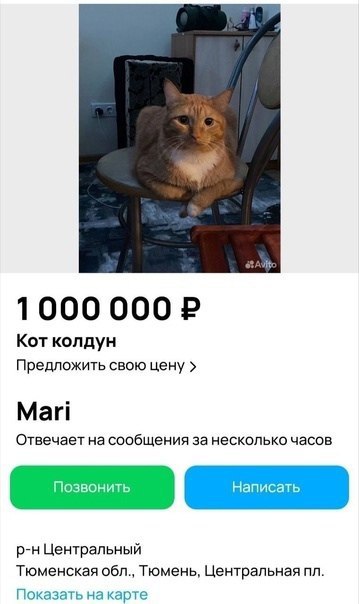 1000 000 Кот колдун Предложить свою цену Mari Отвечает на сообщения за несколько часов Центральный Тюменская обл., Тюмень, Центральная Показать на карте