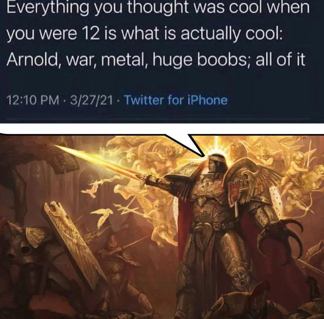 Everytning you thougnt was coo! wnen you were 12 is what is actually cool: Arnold, war, metal, huge boobs; all of it 12:10 3/27/21 Twitter for iPhone же 2
