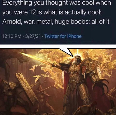 Everytning you thougnt was coo! wnen you were 12 is what is actually cool: Arnold, war, metal, huge boobs; all of it 12:10 3/27/21 Twitter for iPhone же 2