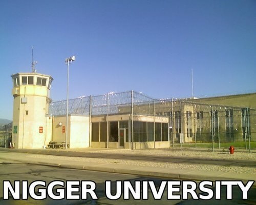 NIGGER UNIVERSITY