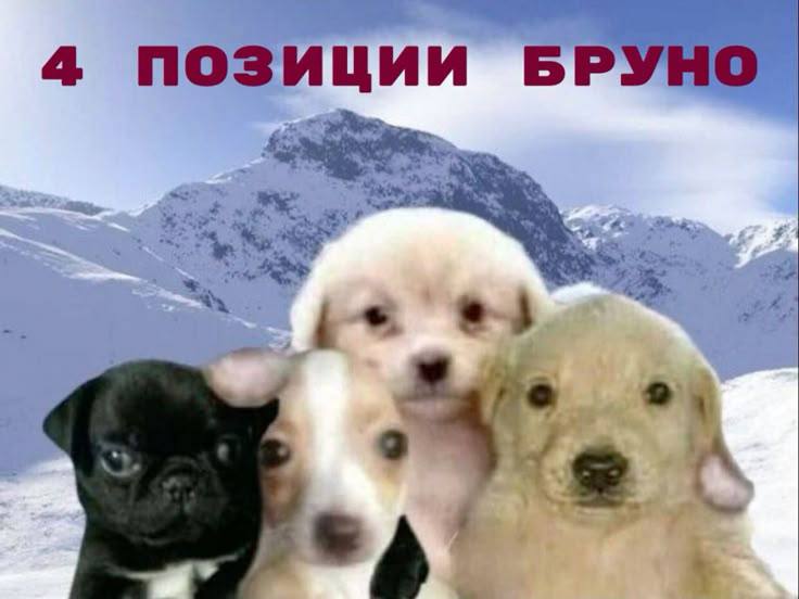 4 ПОЗИЦИИ БРУНО у