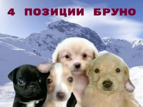 4 ПОЗИЦИИ БРУНО у