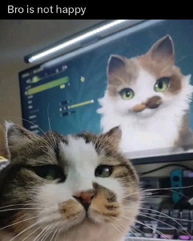 Bro is not happy
