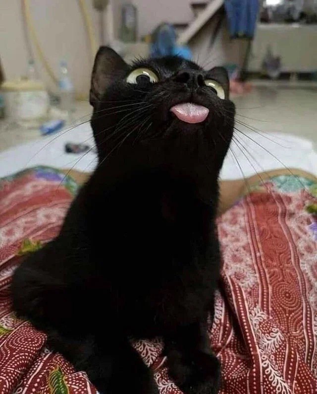 у 4 у OF