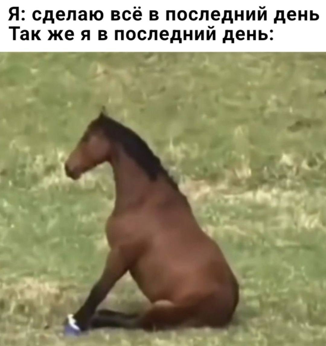 Я: сделаю всё в последний день Так же я в последний день: