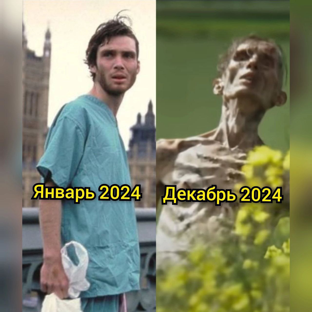 Январь 2024 Декабрь 2024