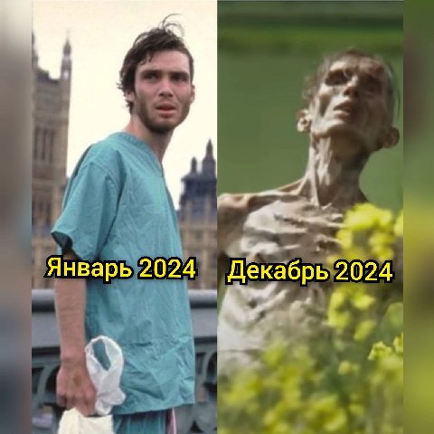Январь 2024 Декабрь 2024
