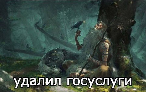 ‘уда лил госуслуги