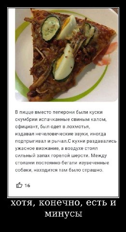 В пицце вместо пеперони были куски скумбрии испачканные свиным калом, официант, был одет в лохмотья, издавал нечеловеческие звуки, иногда подпрыгивал и рычал.С кухни раздавались ужасное визжание, а во
