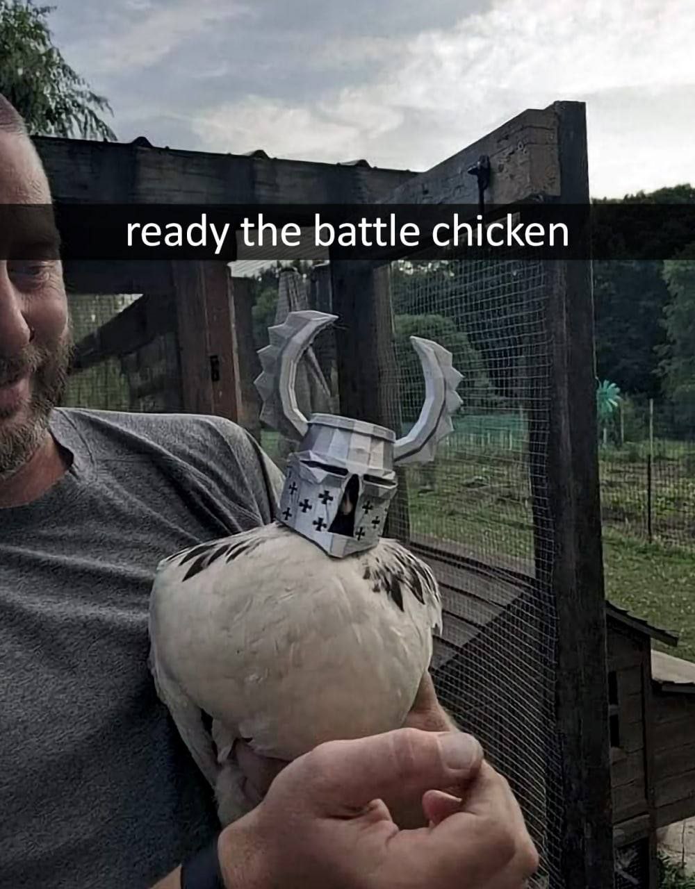 ready the battle chicken