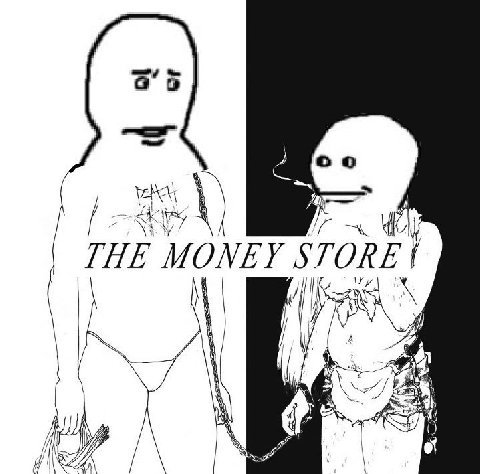 THE MONEY STORE