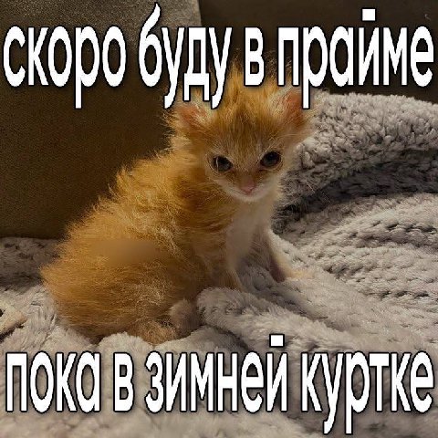 будув пройме