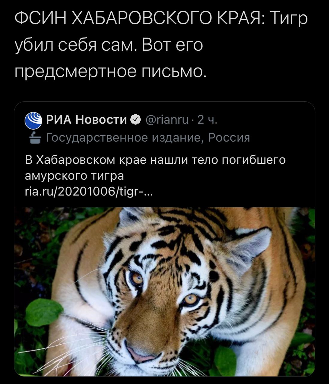 ФСИН ХАБАРОВСКОГО КРАЯ: Тигр убил себя сам. Вот его предсмертное письмо. РИА Новости @папги. 2 Государственное издание, Россия В Хабаровском крае нашли тело погибшего амурского тигра ria.ru/20201006/t