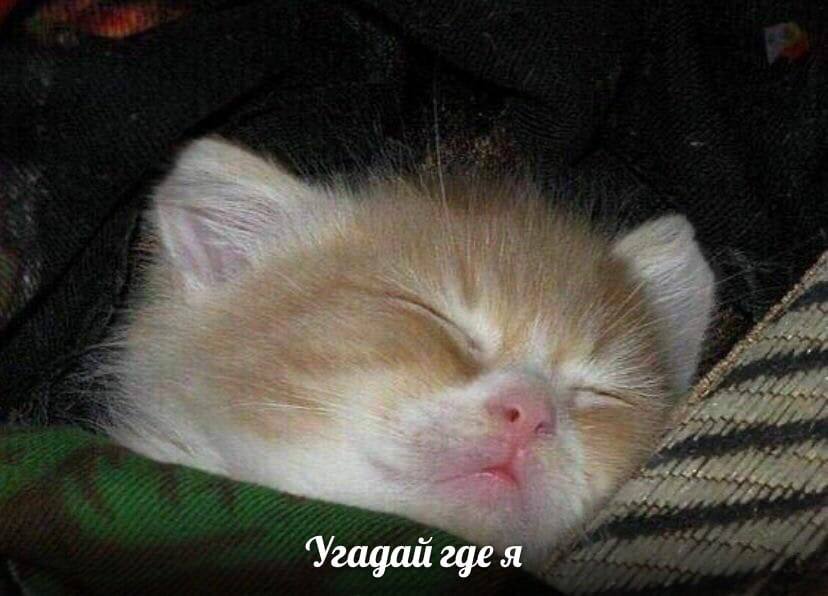 гадай где я
