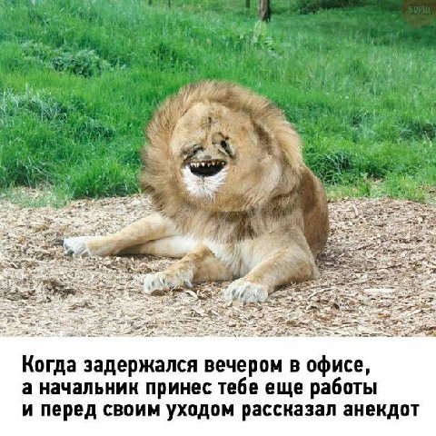 и 4 i of “wry? 1 Когда задержался вечером в офисе, а начальник принес тебе еще работы и перед своим уходом рассказал анекдот