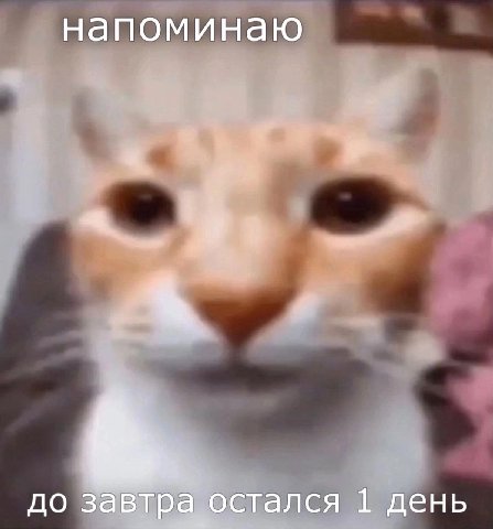 напоминаю до завтра остался 1 день