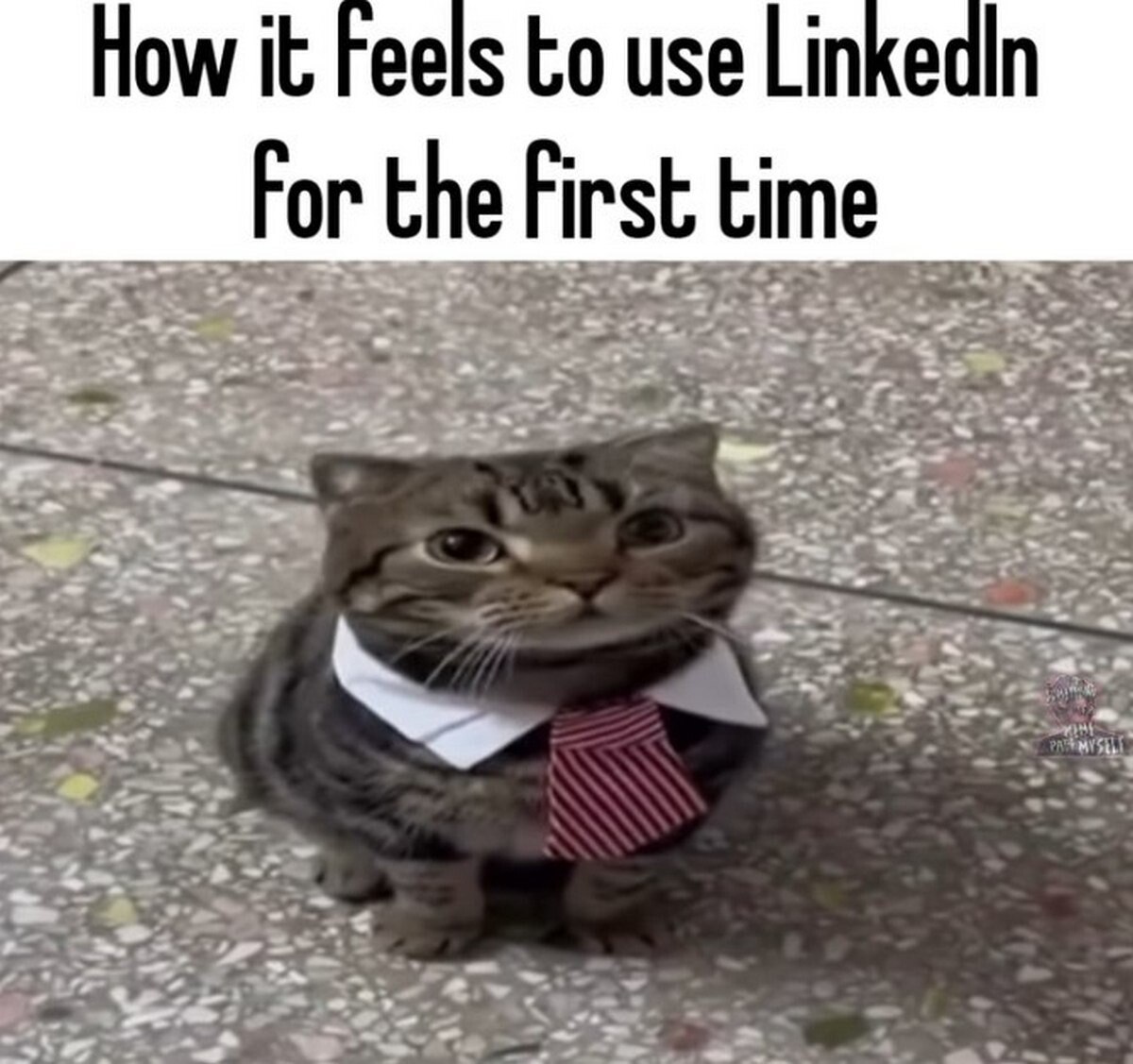 и How it Feels to use Linkedln For the First time