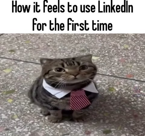 и How it Feels to use Linkedln For the First time