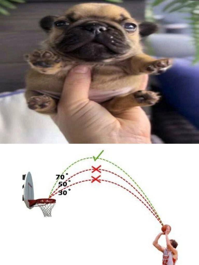 2 20 30° у