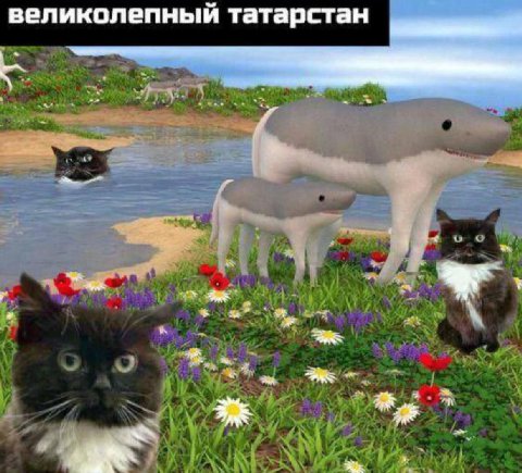 великолепный татарстан