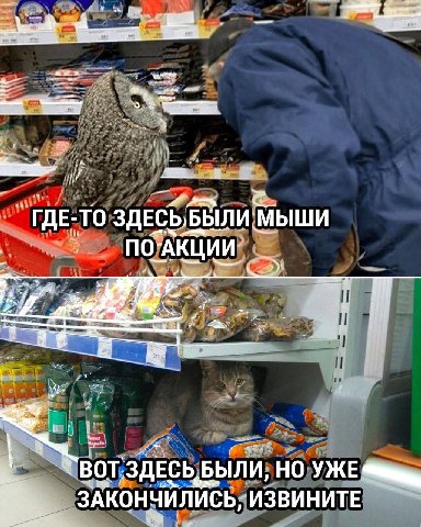 ГДЕ-ТО ЗДЕСЬБЫЛИ МЫШИ ПО-АКЦИИ 5 вот БЫЛИ, НО УЖЕ ЗАКОНЧИЛИСЬ, ИЗВИНИТЕ