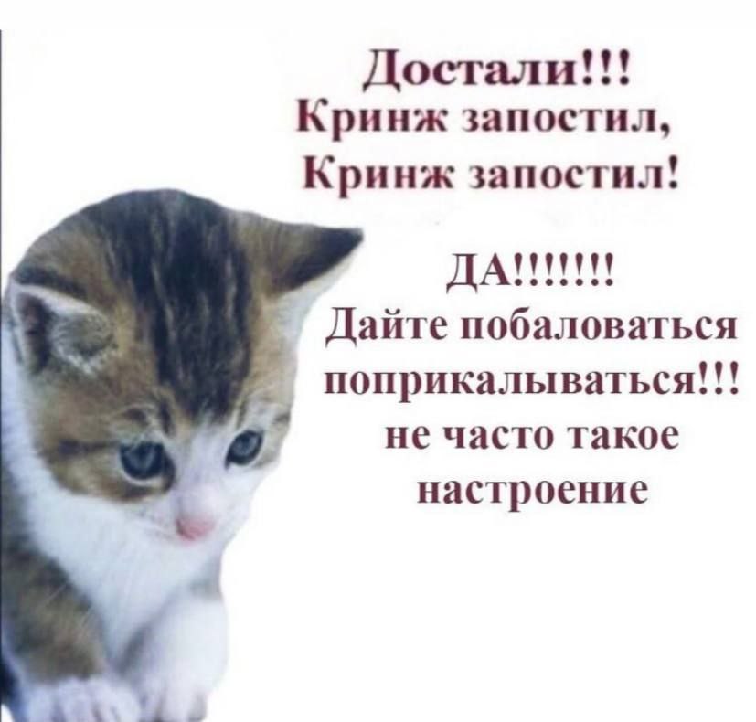 Достали Кринж запостил, Кринж запостил! ДАНИИ! Дайте побаловаться eee my поприкалываться не часто такое настроение