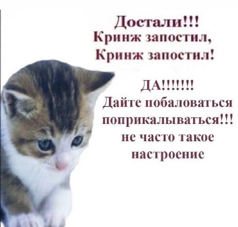 Достали Кринж запостил, Кринж запостил! ДАНИИ! Дайте побаловаться eee my поприкалываться не часто такое настроение