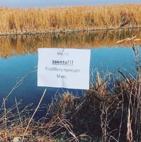 Место В субботу приедет Макс