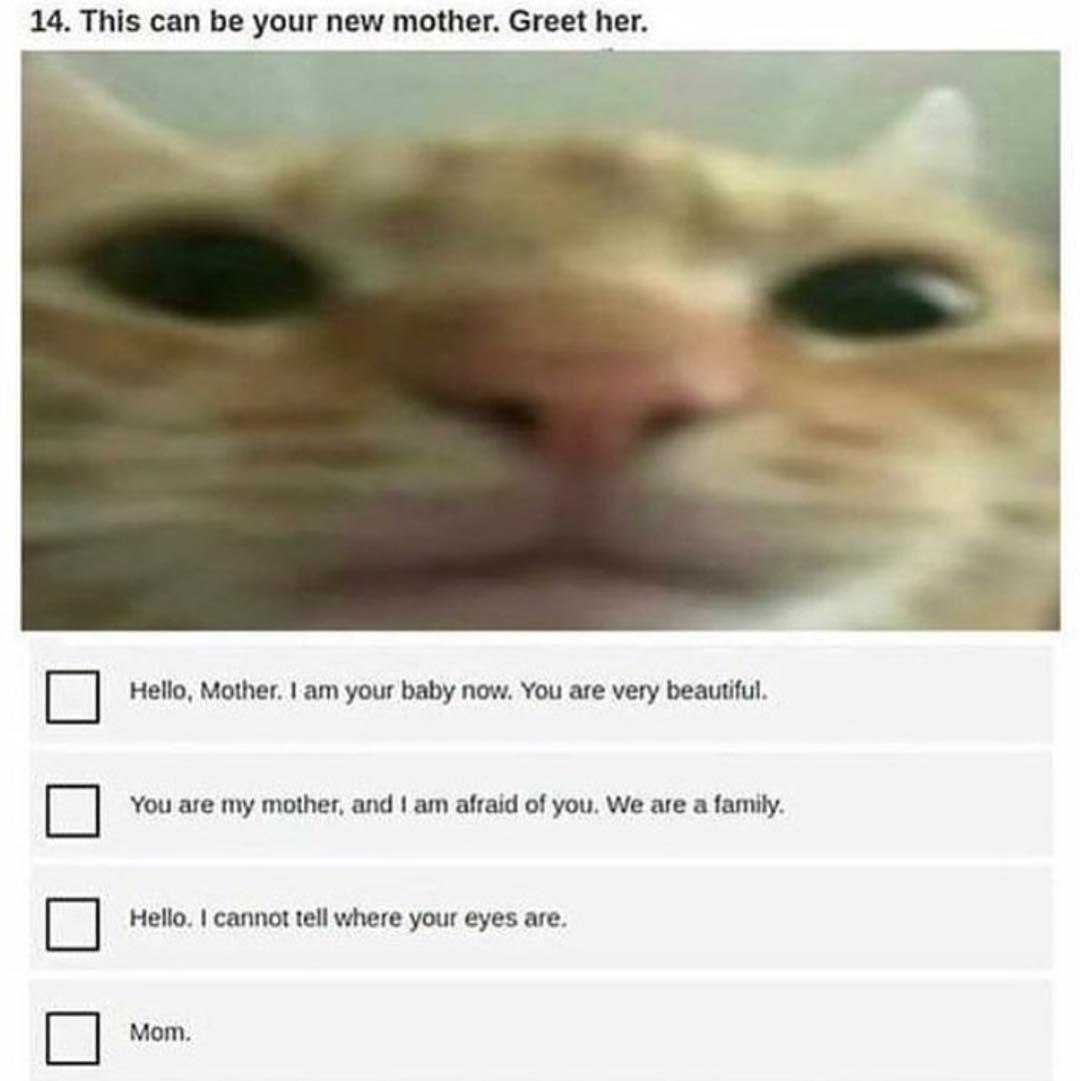 14. This can be your new mother. Greet her. Hello, Mother. your baby now. You are very beautiful. You are my mother, and afraid of you. We are a family. Hello. cannot tell where your eyes are. Мот.
