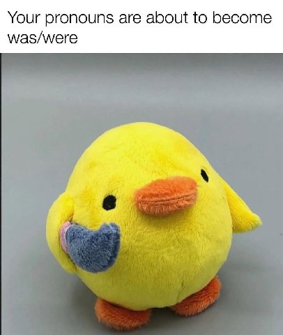 Your pronouns are about to become was/were