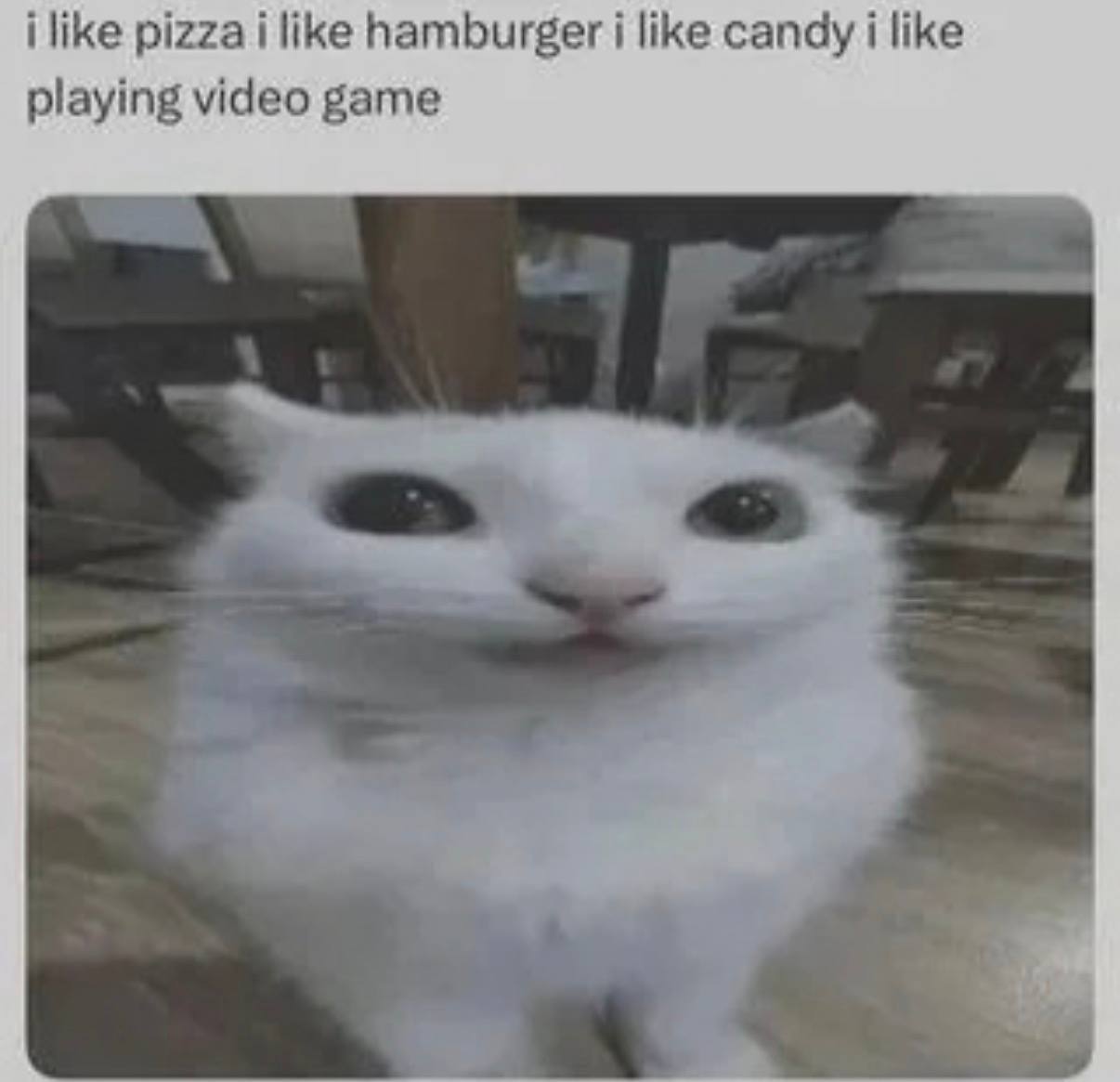 i like pizza i like hamburger i like candy i like playing video game