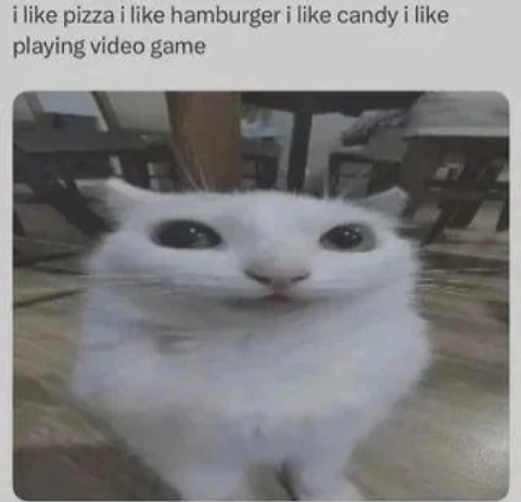 i like pizza i like hamburger i like candy i like playing video game