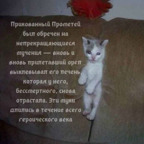 Прикованный Протетей был обречен на непрекращающицеся тученця вновь вновь прилетавший орел выклевывал его печень которая у него, бесстертного, снова отрастала. Эти муки в теченце всего героического ве
