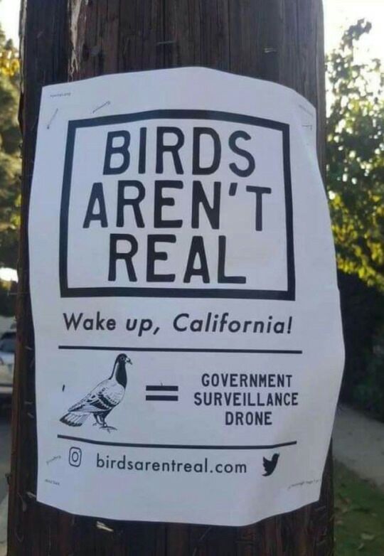 BIRDS AREN'T REAL Wake up, California! GOVERNMENT DRONE 0 birdsarentreal.com у