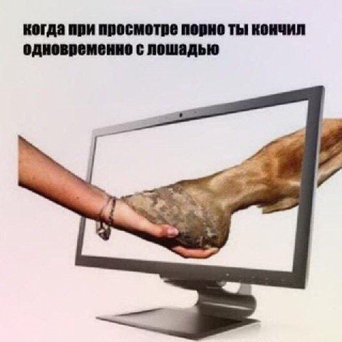 когда при просмотре порно ты кончил одновременно с лошадью