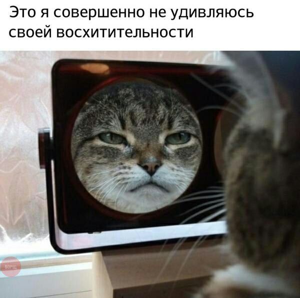 Это я совершенно не удивляюсь своей восхитительности