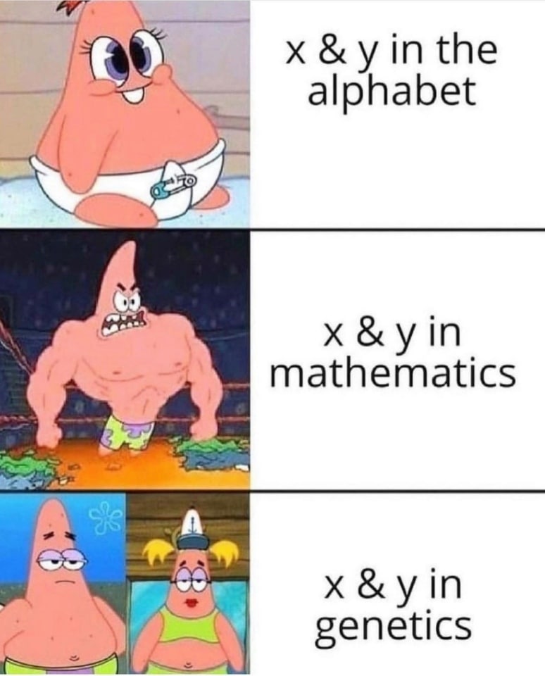 alphabet x&yin mathematics x&yin genetics