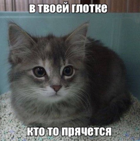 в глотке КТО TO Прячется
