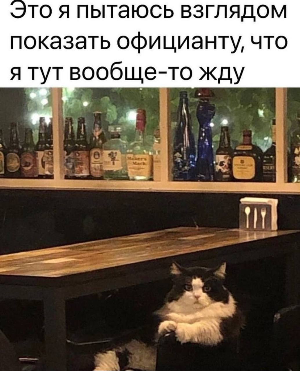 то я пытаюсь взглядом показать официанту, что я тут вообще-то жду а