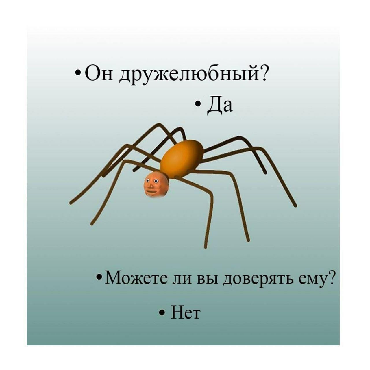 *Он дружелюбный? Да