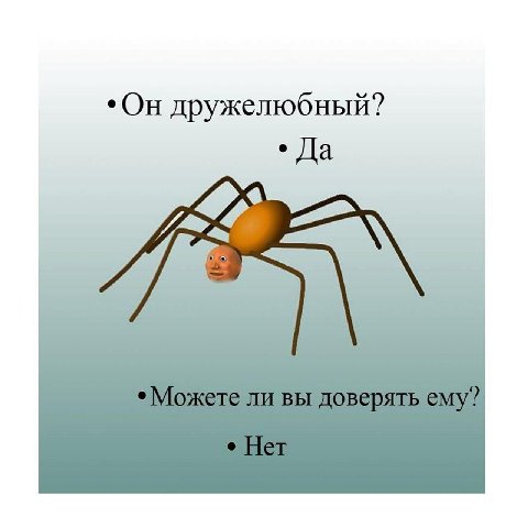 *Он дружелюбный? Да