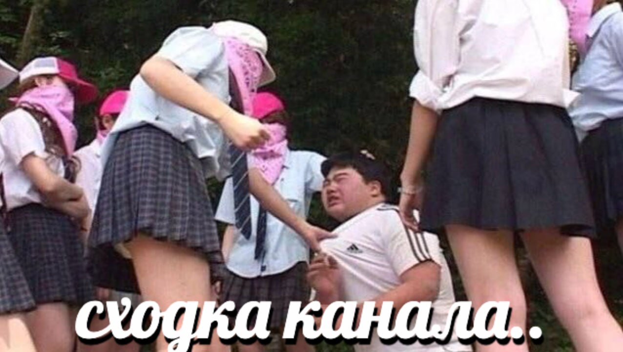 4 a Собка А