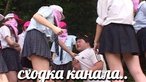 4 a Собка А