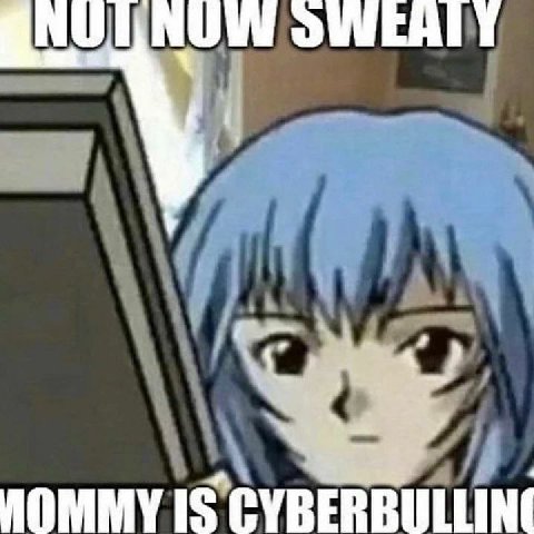 (i IS CYBERBULLING