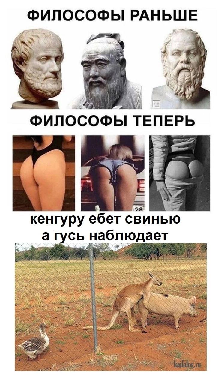 ФИЛОСОФЫ РАНЬШЕ Soy 4 ФИЛОСОФЫ ТЕПЕРЬ кенгуру ебет свинью а наблюдает