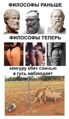 ФИЛОСОФЫ РАНЬШЕ Soy 4 ФИЛОСОФЫ ТЕПЕРЬ кенгуру ебет свинью а наблюдает