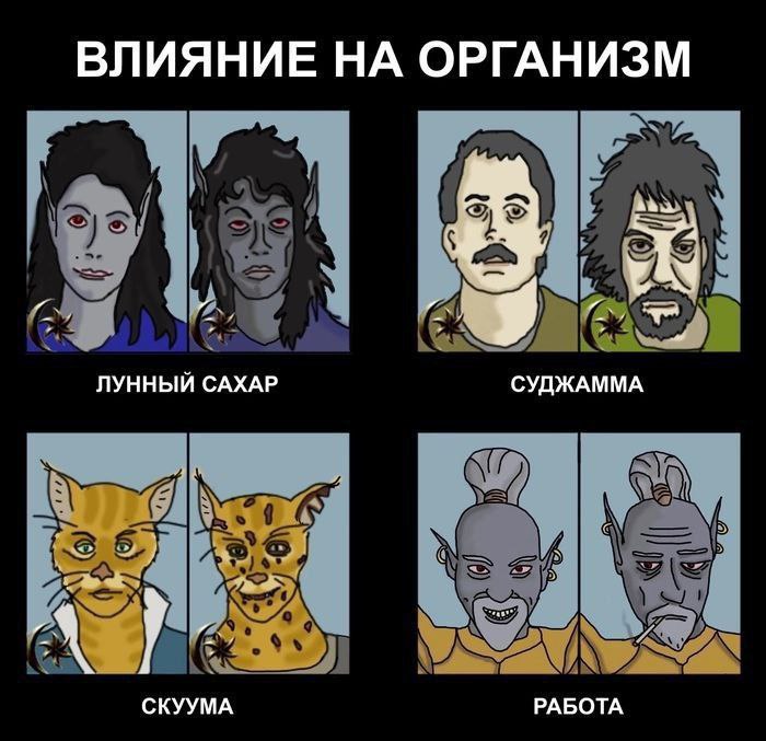 ВЛИЯНИЕ НА ОРГАНИЗМ ЛУННЫЙ САХАР у СУДЖАММА СКУУМА РАБОТА