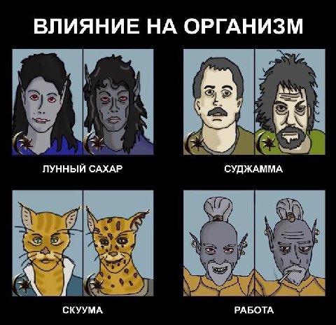 ВЛИЯНИЕ НА ОРГАНИЗМ ЛУННЫЙ САХАР у СУДЖАММА СКУУМА РАБОТА